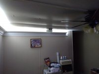 IMG_20230227_173115963.jpg