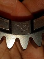 IMG_20230331_165631623.jpg