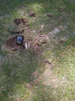 IMG_20230411_150717994.jpg