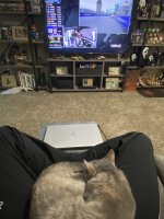 IMG_0132.jpeg