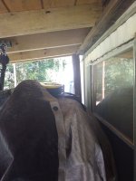 IMG_20231017_103430536.jpg