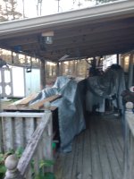 IMG_20231123_163257369.jpg