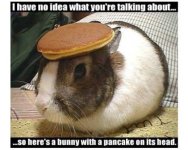 Pancake bunny.jpg