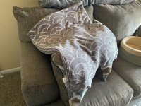 IMG_0918.jpeg