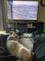 IMG_0936.jpeg