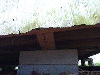 IMG_20240322_184608899.jpg