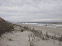IMG_20241010_090558037.jpg