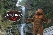 Sasquatch practicing the start your engines command.jpg