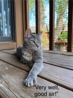 IMG_1404.jpeg