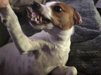 IMG_1948.jpeg