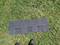 IMG_20250606_110450425.jpg