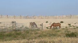 IMG_7771.jpeg