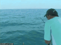 1749752404816.gif