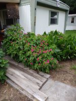 IMG_20250614_194847585.jpg