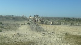 IMG_7890.jpeg