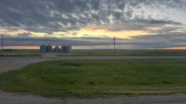 IMG_7950.jpeg