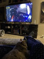 IMG_3726.jpeg