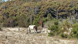 IMG_8453.jpeg