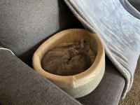 IMG_3851.jpeg