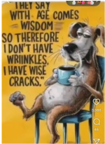 Screenshot 2025-08-11 at 11.24.43 AM.png