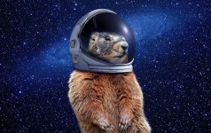 in space x cropped.jpg