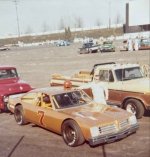 7 Ventura maybe gold.jpg