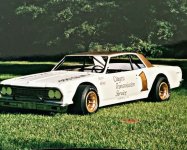 1 chevelle65 grass.jpg