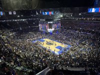 IMG_0503.jpeg